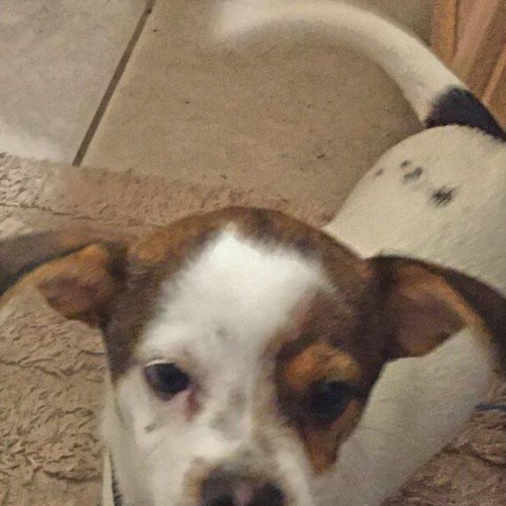 Meet your Posher, Margo